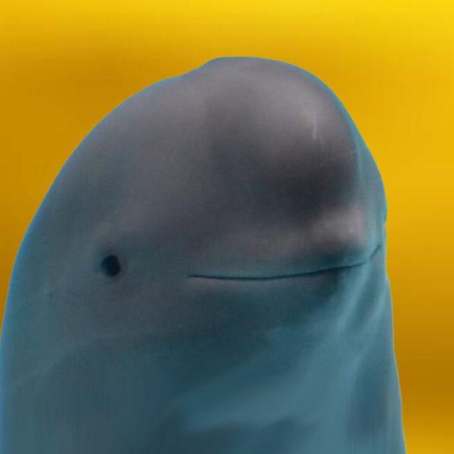 Byron Jagoe tweet media