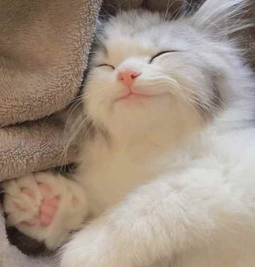 ClickBankGary's tweet image. Are you ready for some Click Bank Marketing vibes?