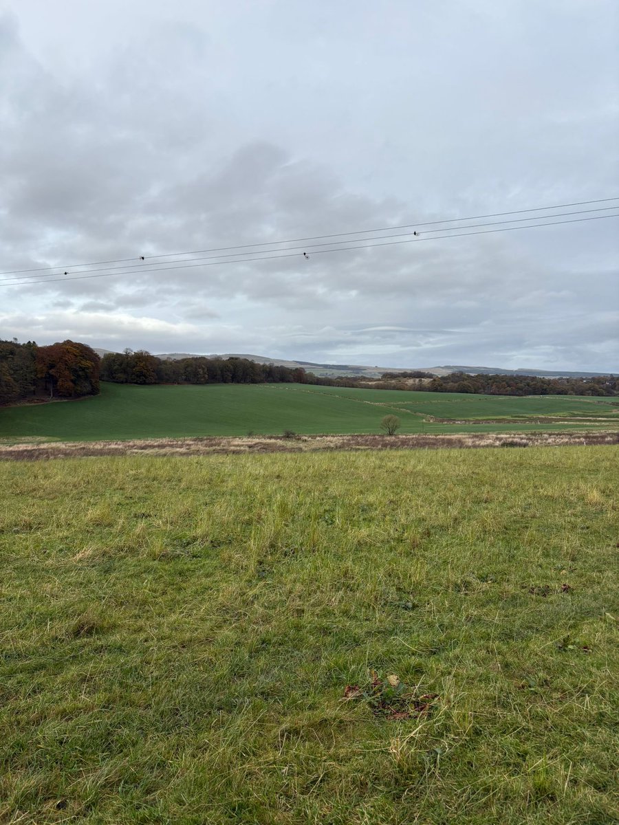 Digby Brown LLP tweet media