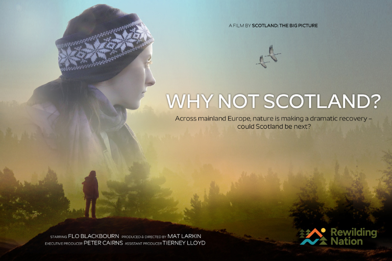 Rewilding Britain (@rewildingb) on Twitter photo The inspirational film ‘Why Not Scotland?’ by <a href="/ScotRewilding/">The Scottish Rewilding Alliance</a> is now available to watch on YouTube.
The film follows <a href="/FloBlackbourn/">Florence Blackbourn</a> as she travels to rewilding projects across Europe, with the hope that Scotland could become a Rewilding Nation. 
🎥: youtu.be/FFypWj1bjPk?si… The inspirational film ‘Why Not Scotland?’ by <a href="/ScotRewilding/">The Scottish Rewilding Alliance</a> is now available to watch on YouTube.
The film follows <a href="/FloBlackbourn/">Florence Blackbourn</a> as she travels to rewilding projects across Europe, with the hope that Scotland could become a Rewilding Nation. 
🎥: youtu.be/FFypWj1bjPk?si…