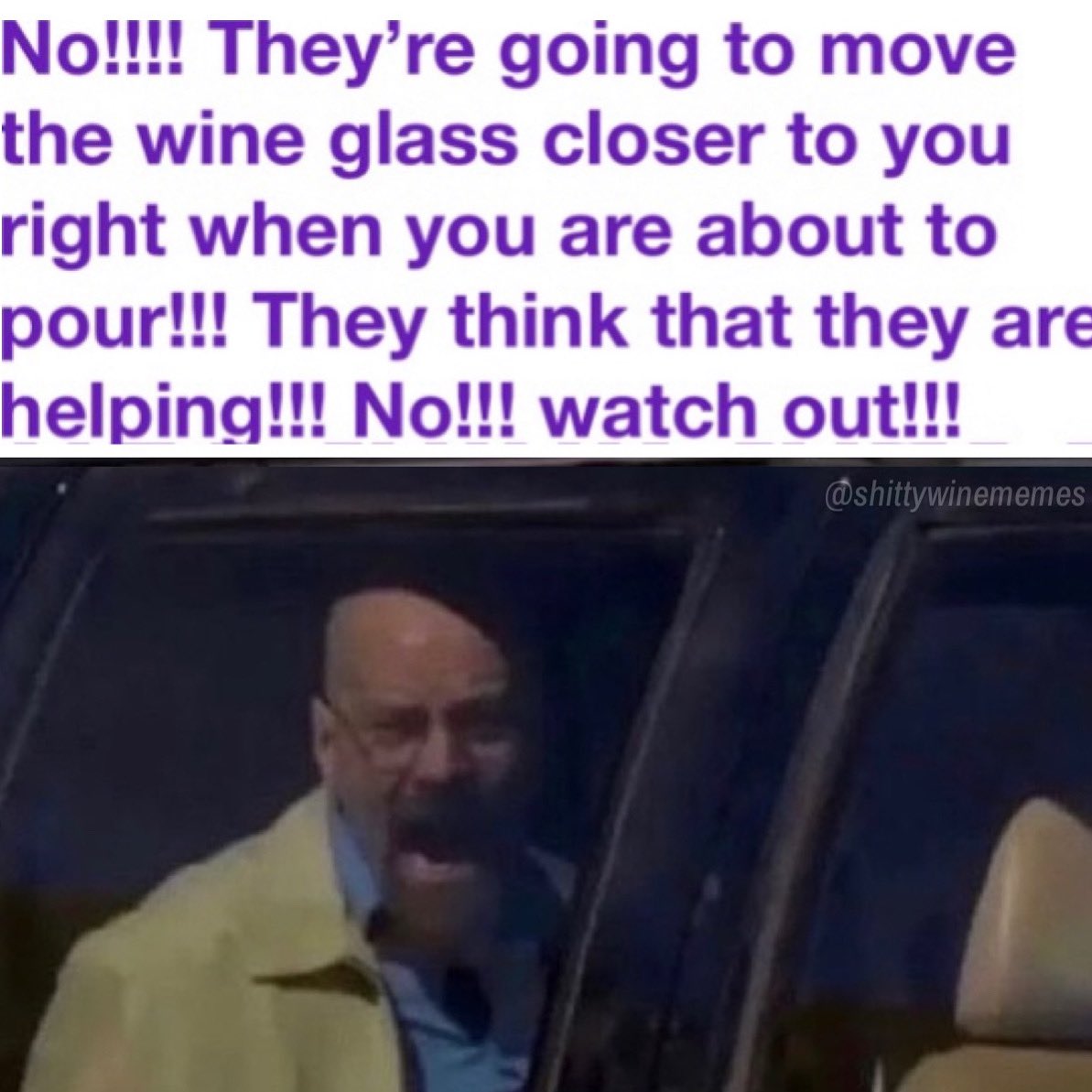 Shitty Wine Memes (@shittywinememes) on Twitter photo 