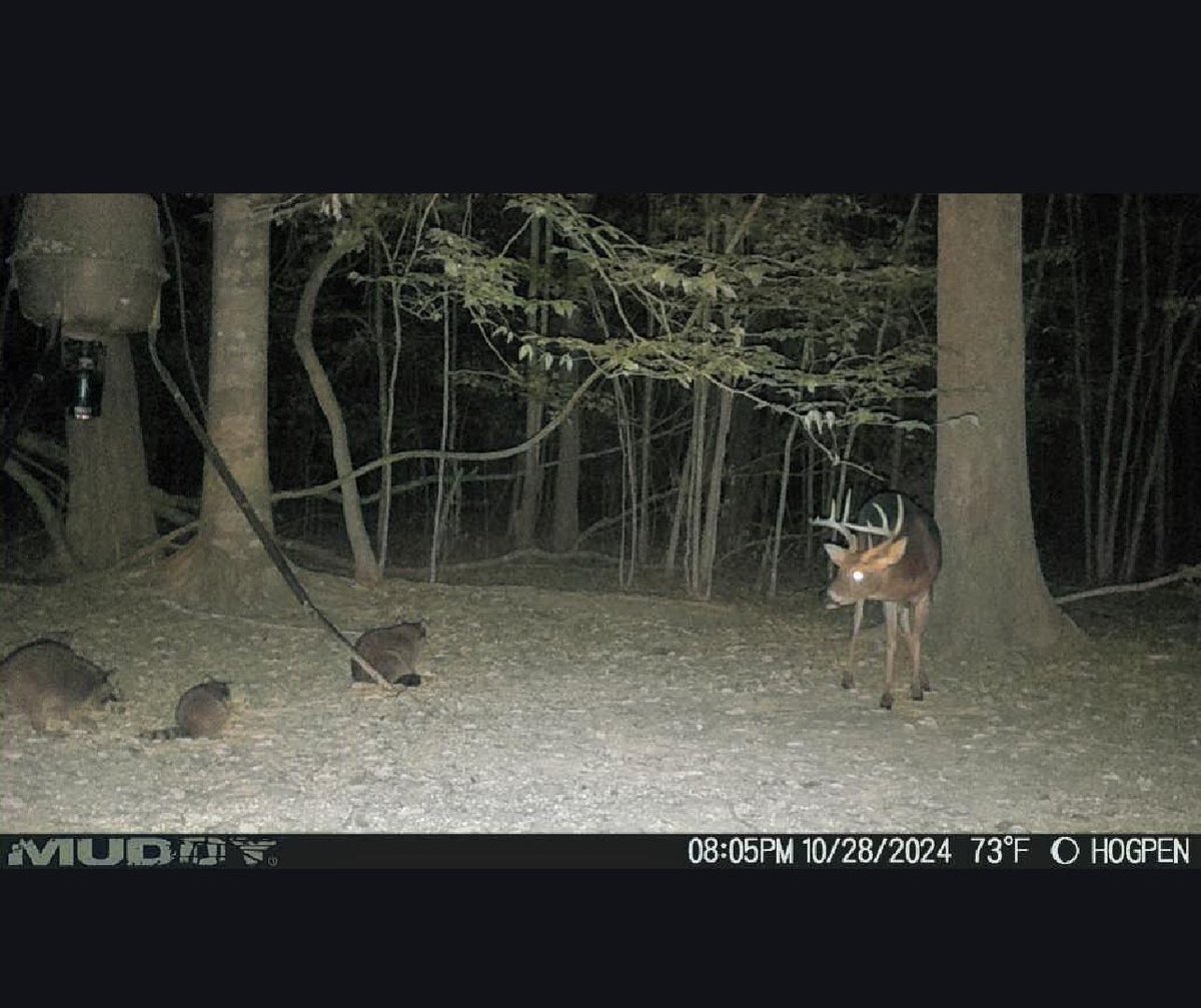 CajunAsian tweet media