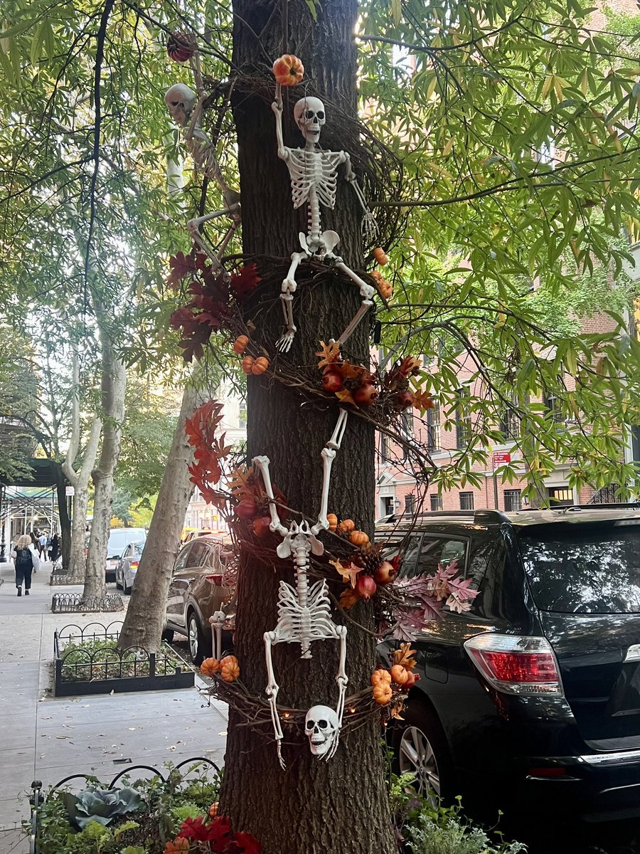 Prof. Gillian O'Brien tweet media