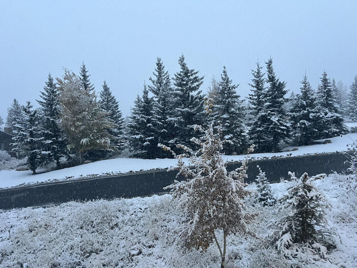 Adam Loewy tweet media