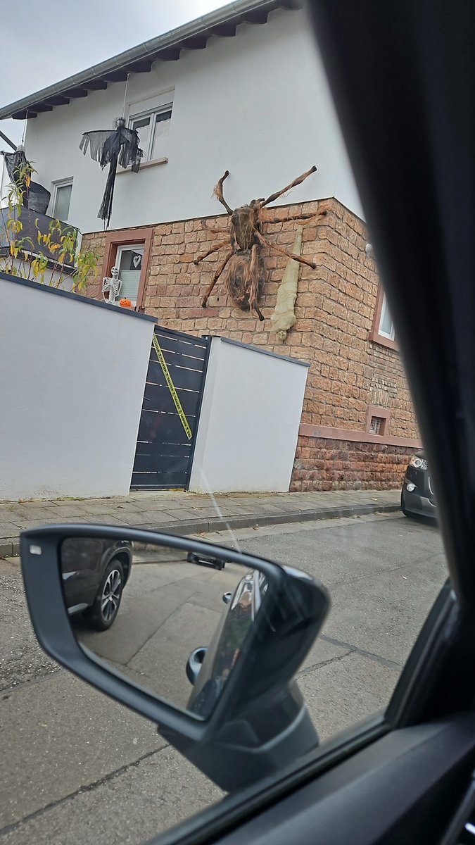 Histolicious tweet media