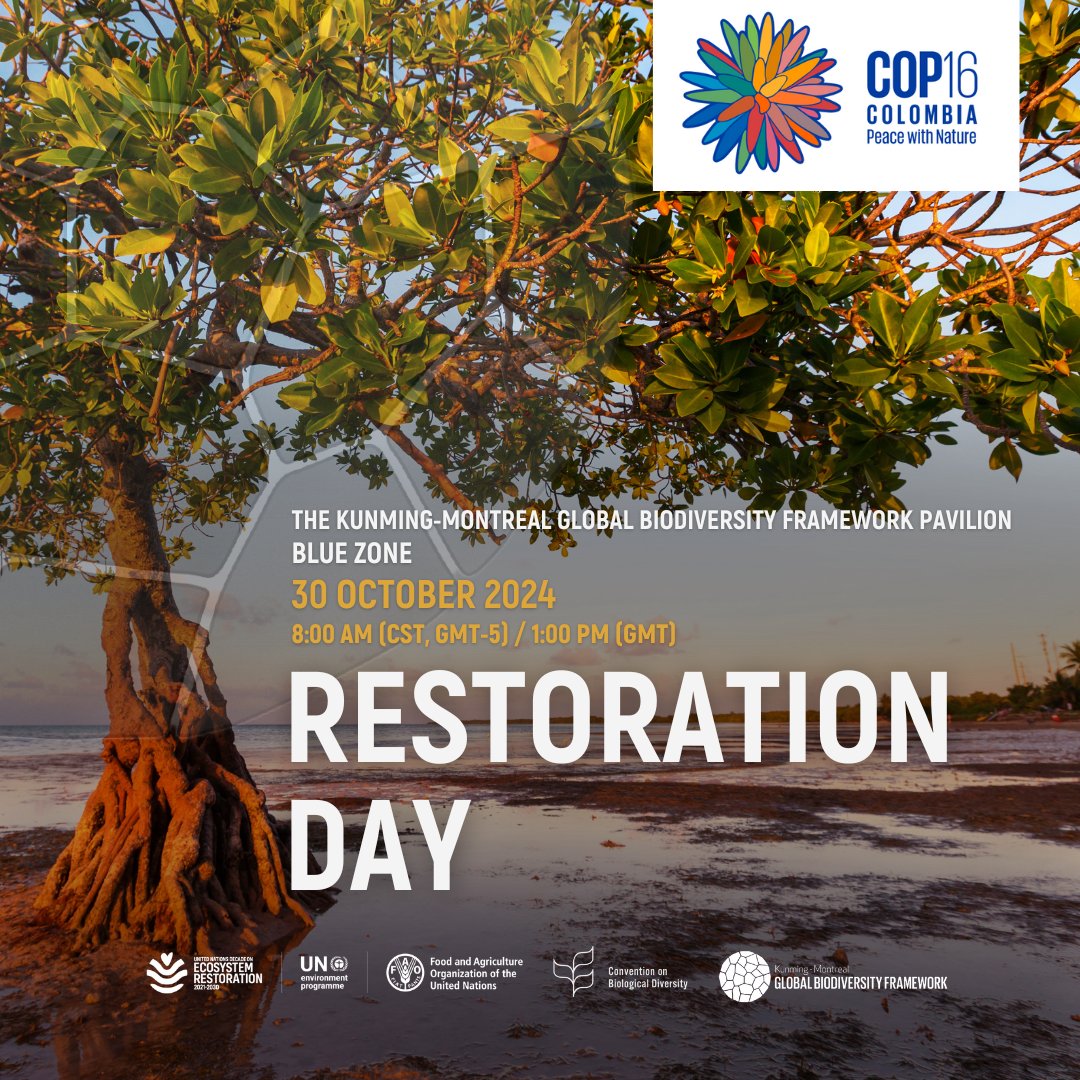 Join Restoration Day at #COP16Colombia!

Tune in at the Kunming-Montreal Pavilion in Cali or via livestream to hear policy leaders, Indigenous Peoples, and restoration experts share the latest #GenerationRestoration insights: decadeonrestoration.org/events/cbd-cop…