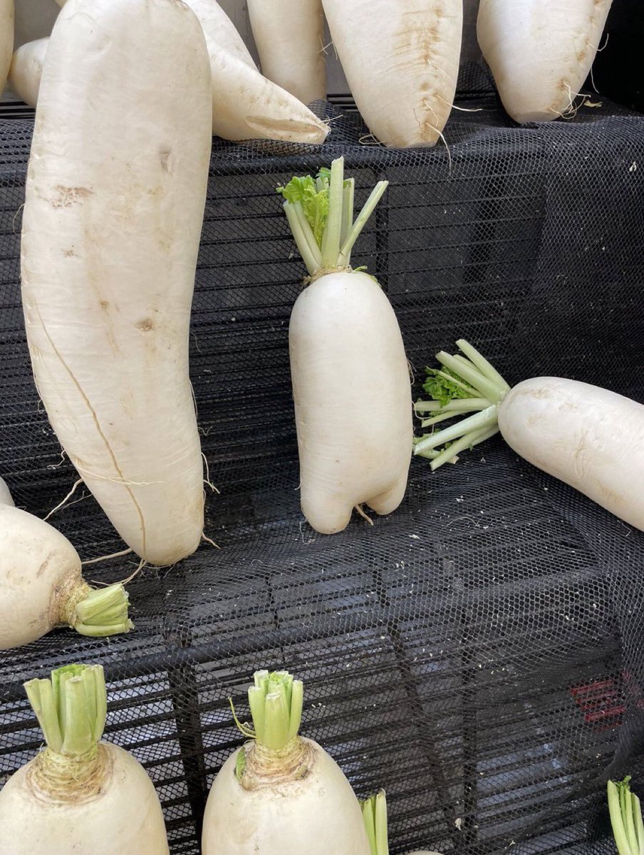 最多情報局 tweet media