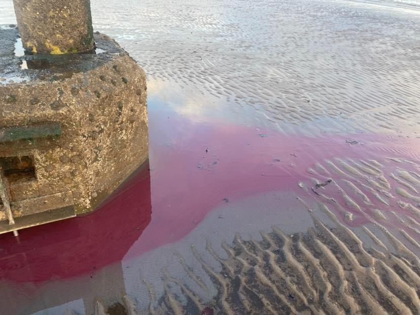 Chris Murray MP (@chrismurraymp) on Twitter photo This is the pic of Portobello circulating this morning. It looks like a sewage leak (what is it?!)
It’s totally unacceptable that this is washing onto the beach and into the sea. So much for the reassurances from <a href="/scottishwater/">Scottish Water</a> that everything is fine! This is the pic of Portobello circulating this morning. It looks like a sewage leak (what is it?!)
It’s totally unacceptable that this is washing onto the beach and into the sea. So much for the reassurances from <a href="/scottishwater/">Scottish Water</a> that everything is fine!