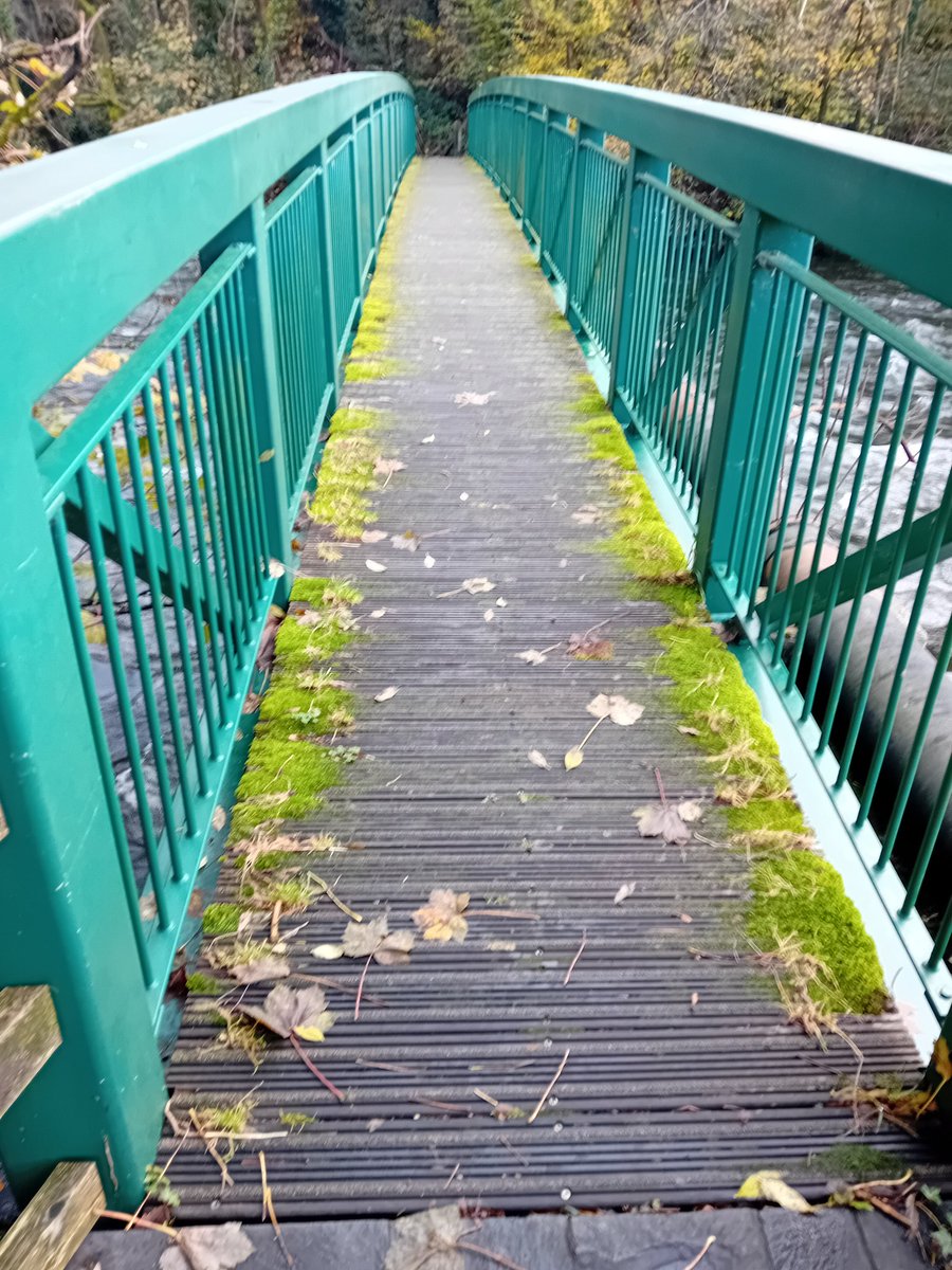 TheLengthsman's tweet photo. Nice morning in #Backbarrow strimming this footpath which goes over the River Leven
Children use it every day to go to school https://t.co/n6X3ml6E7C