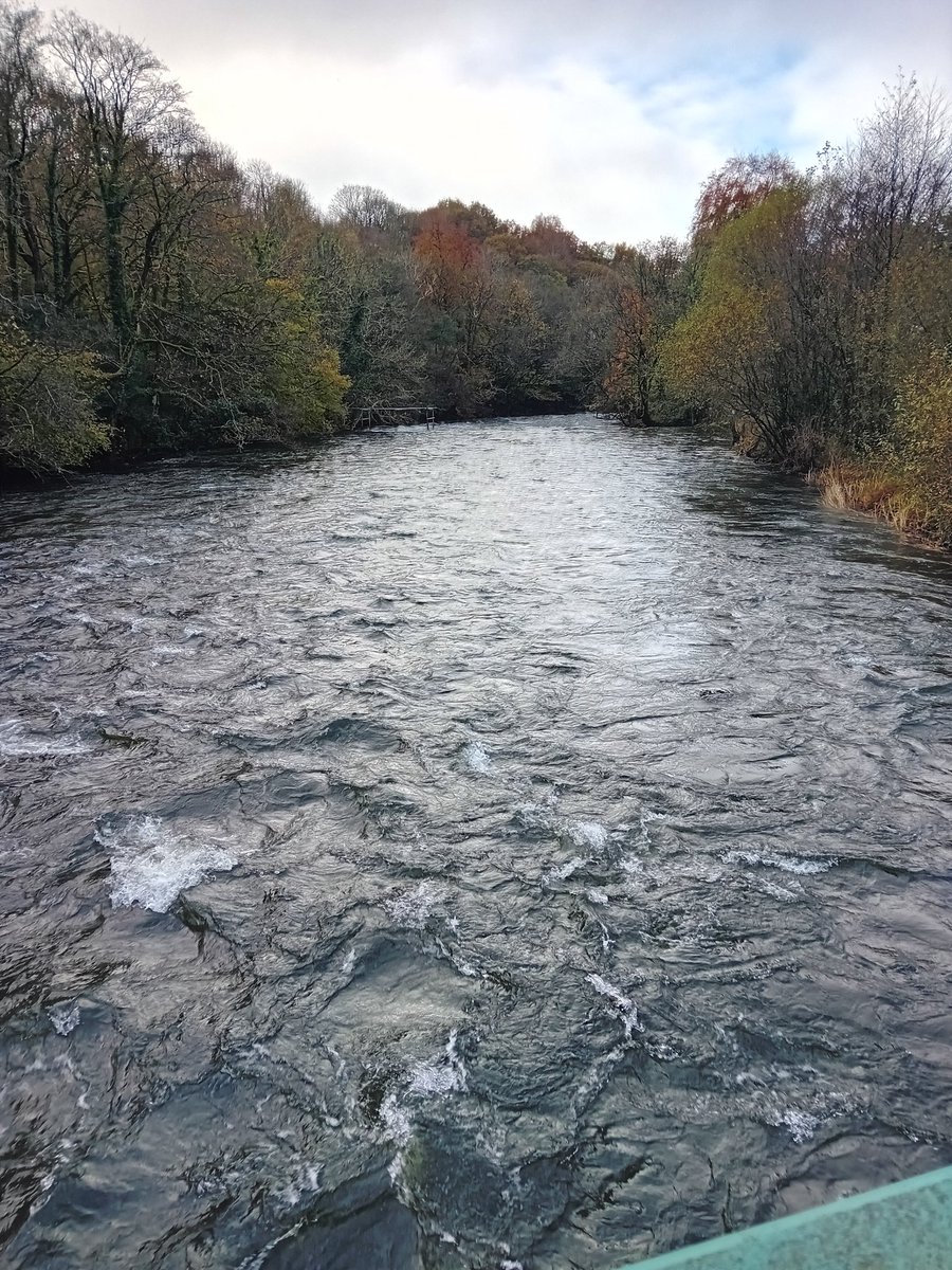 TheLengthsman's tweet photo. Nice morning in #Backbarrow strimming this footpath which goes over the River Leven
Children use it every day to go to school https://t.co/n6X3ml6E7C
