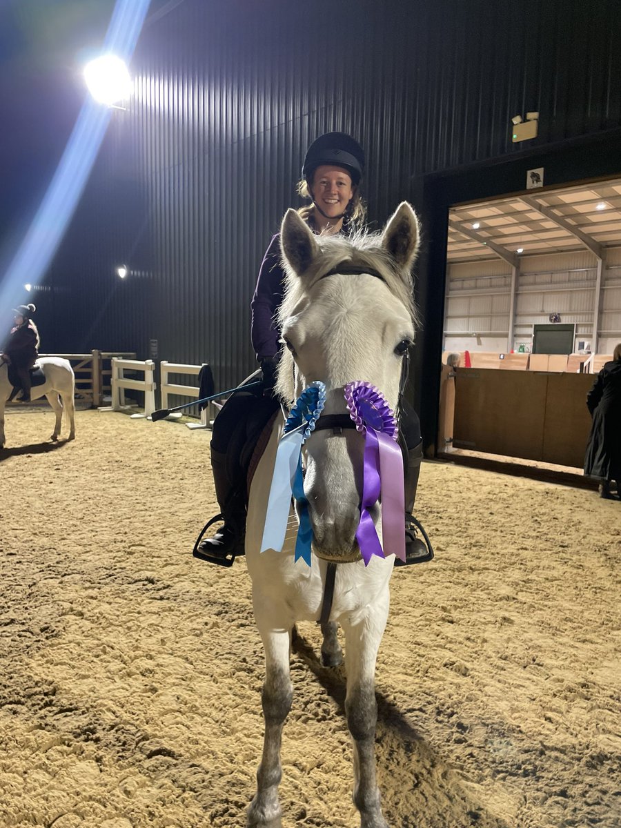 Clever pony 🥳🏅🐴🐦