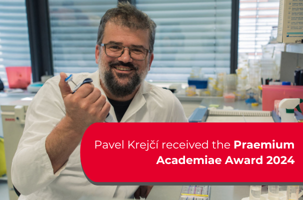 FNUSA_ICRC's tweet photo. Pavel Krejčí, head of our Cell Signaling team and researcher at the Institute of Animal Physiology and Genetics of the Czech Academy of Sciences, has received the prestigious Praemium Academiae 2024 award from Eva Zažímalová, President of the @Akademie_ved_CR . Congratulations! https://t.co/wSL4srYcJU
