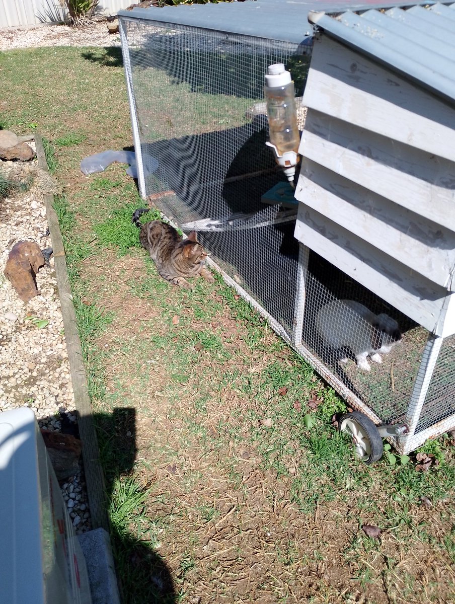 Film Learnin tweet media