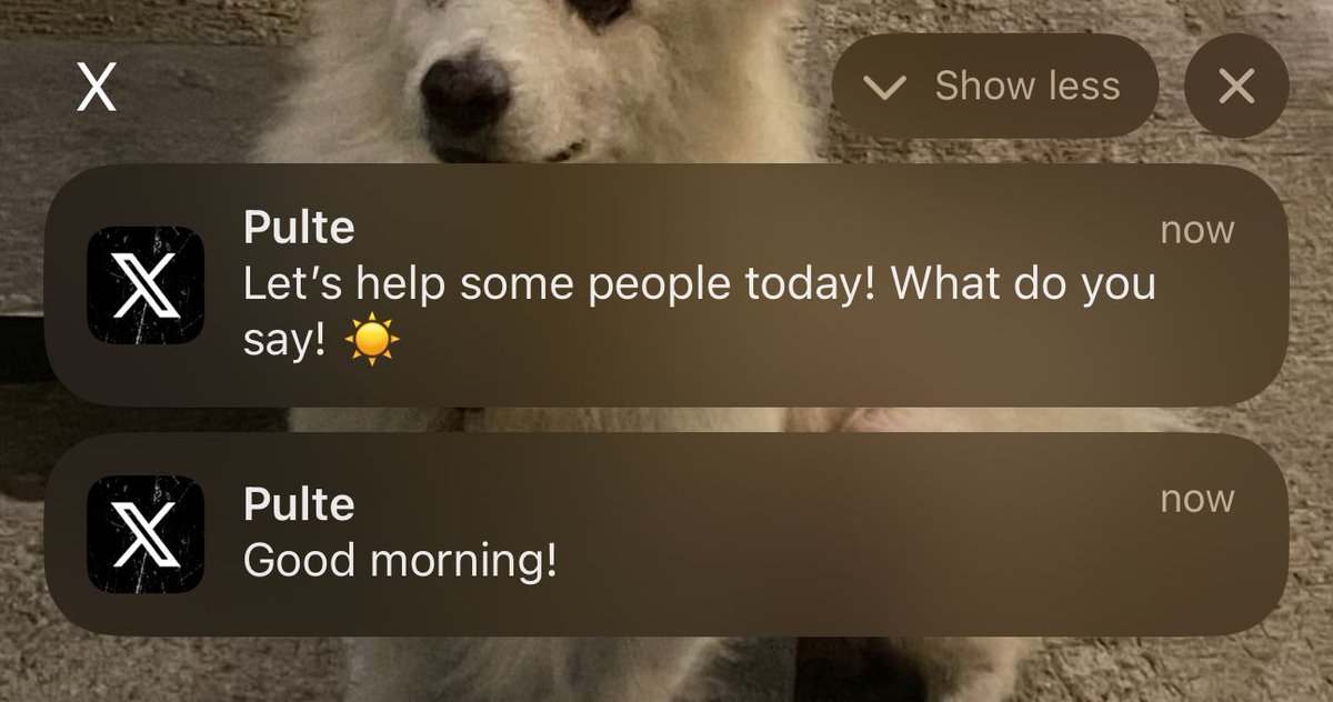 OhHiMark31's tweet photo. @pulte Notif always on 💯 Would really help me alot. I’d be truly grateful https://t.co/VvDOpV8aBC