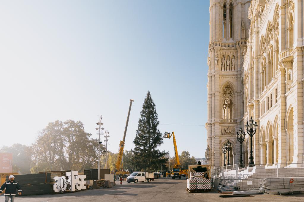 apaots_tp's tweet photo. Weihnachtsbaum für Wiener Christkindlmarkt am Rathausplatz aufgestellt https://t.co/a4KACkWtPh https://t.co/509ijTuKNz