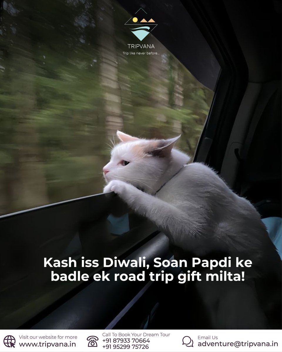 tripvanaadv's tweet photo. Tag you HR🤪
.
.
#diwali #meme #funny #officememe #soanpapdi #catmeme #travelcat #travelcation #travelcats #cat #cats #catlover #catstagram #tripvana #nashik #nashikcity https://t.co/VnTmoH68Va