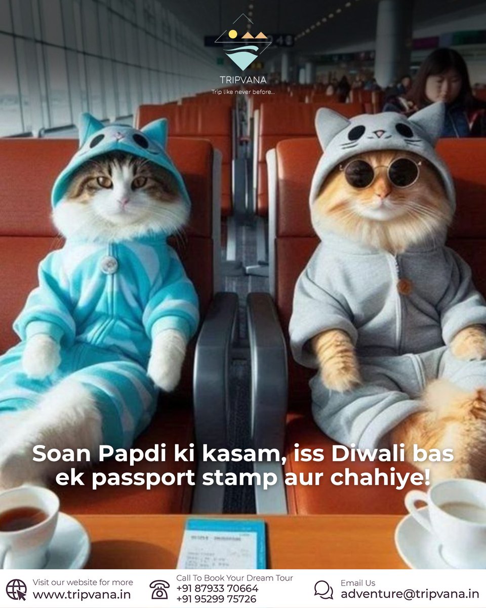 tripvanaadv's tweet photo. Tag you HR🤪
.
.
#diwali #meme #funny #officememe #soanpapdi #catmeme #travelcat #travelcation #travelcats #cat #cats #catlover #catstagram #tripvana #nashik #nashikcity https://t.co/VnTmoH68Va