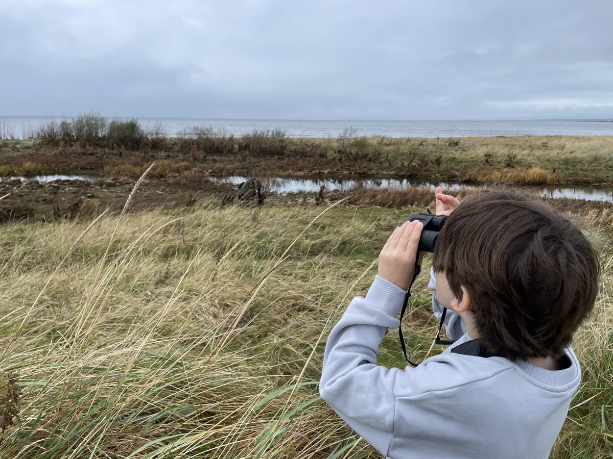 Niall Paterson tweet media