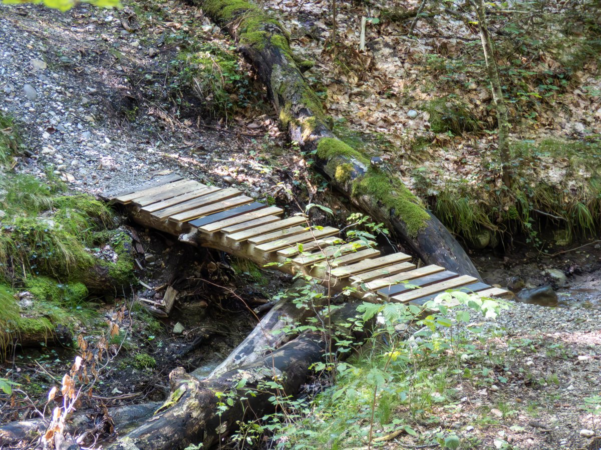 Neuperlach's tweet photo. Ramsee (Andechs): Das verschwundene Dorf
…liegt zwischen Wartaweil (Herrsching) u.dem berühmten Kloster Andechs. „Liegen“ ist ein bisschen übertrieben, denn von dem Dorf,das einmal aus 6 Häusern  bestand, ist nichts mehr übrig.Spuken soll es hier dennoch!
https://t.co/fjezQKcyF0 https://t.co/rwi54osfVU
