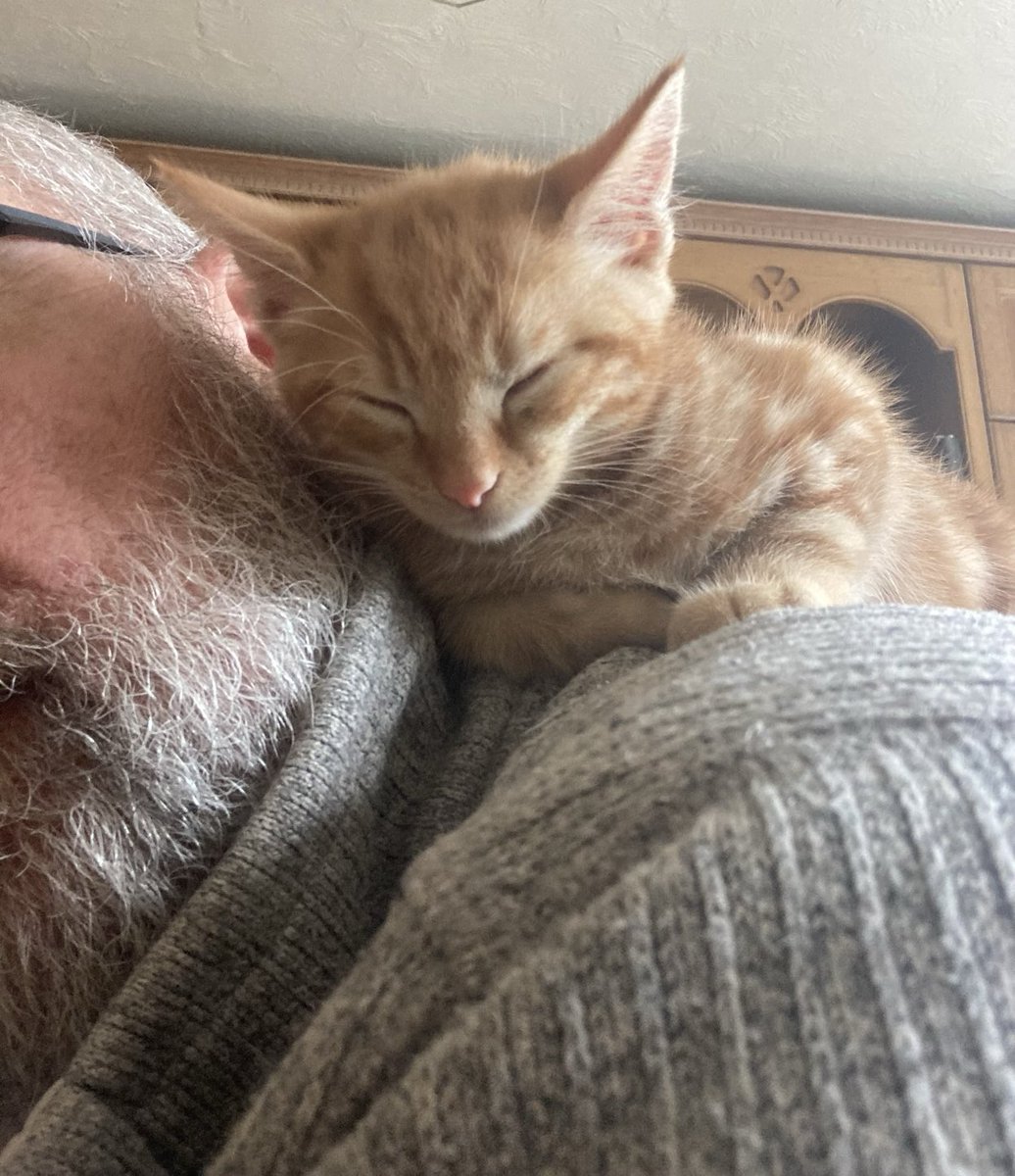 He’s fallen asleep on my shoulder 💤. I’m so happy right now 🥰.