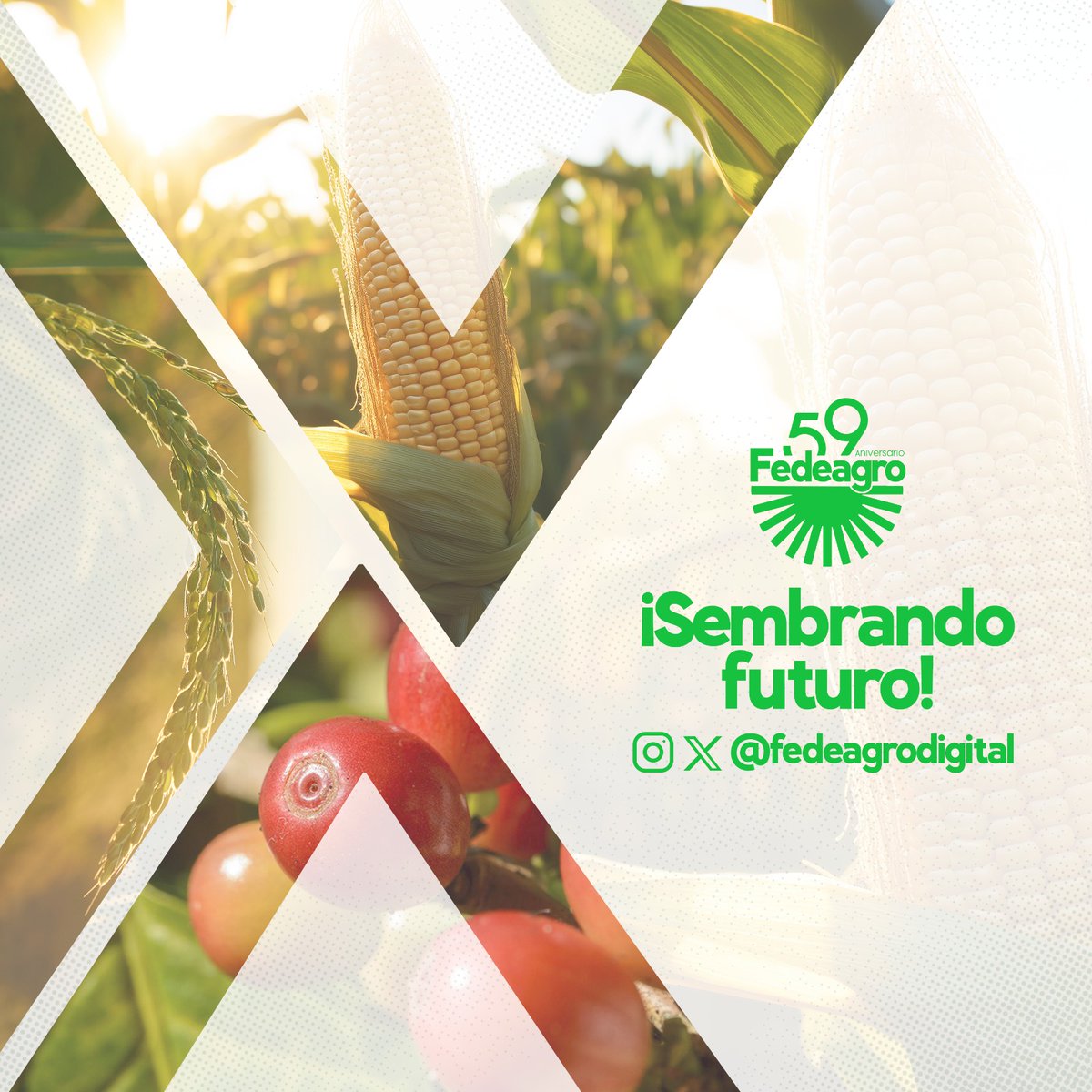 Celso Fantinel tweet media