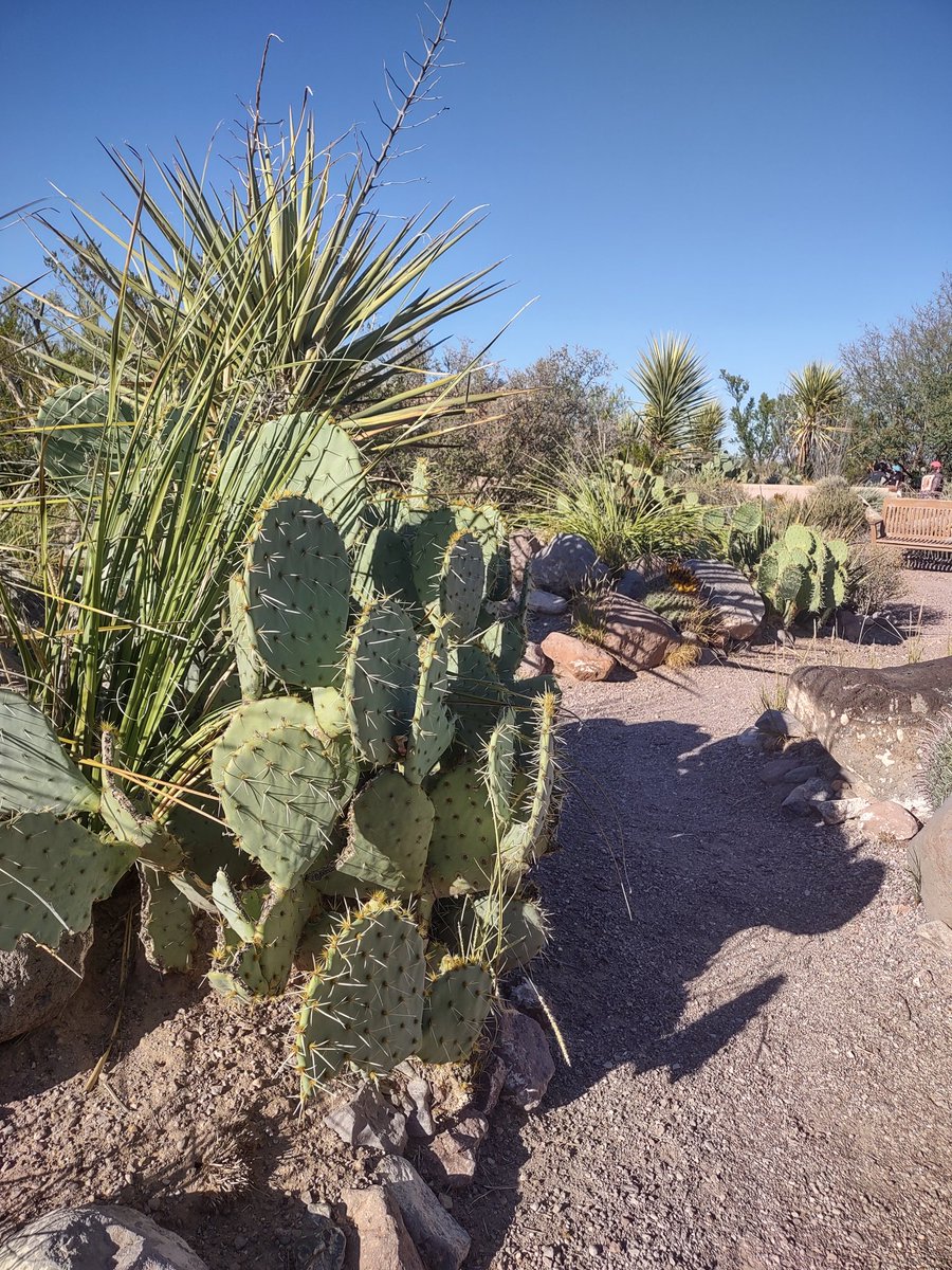 Héctor Esparra-Escalera, Ph.D. tweet media
