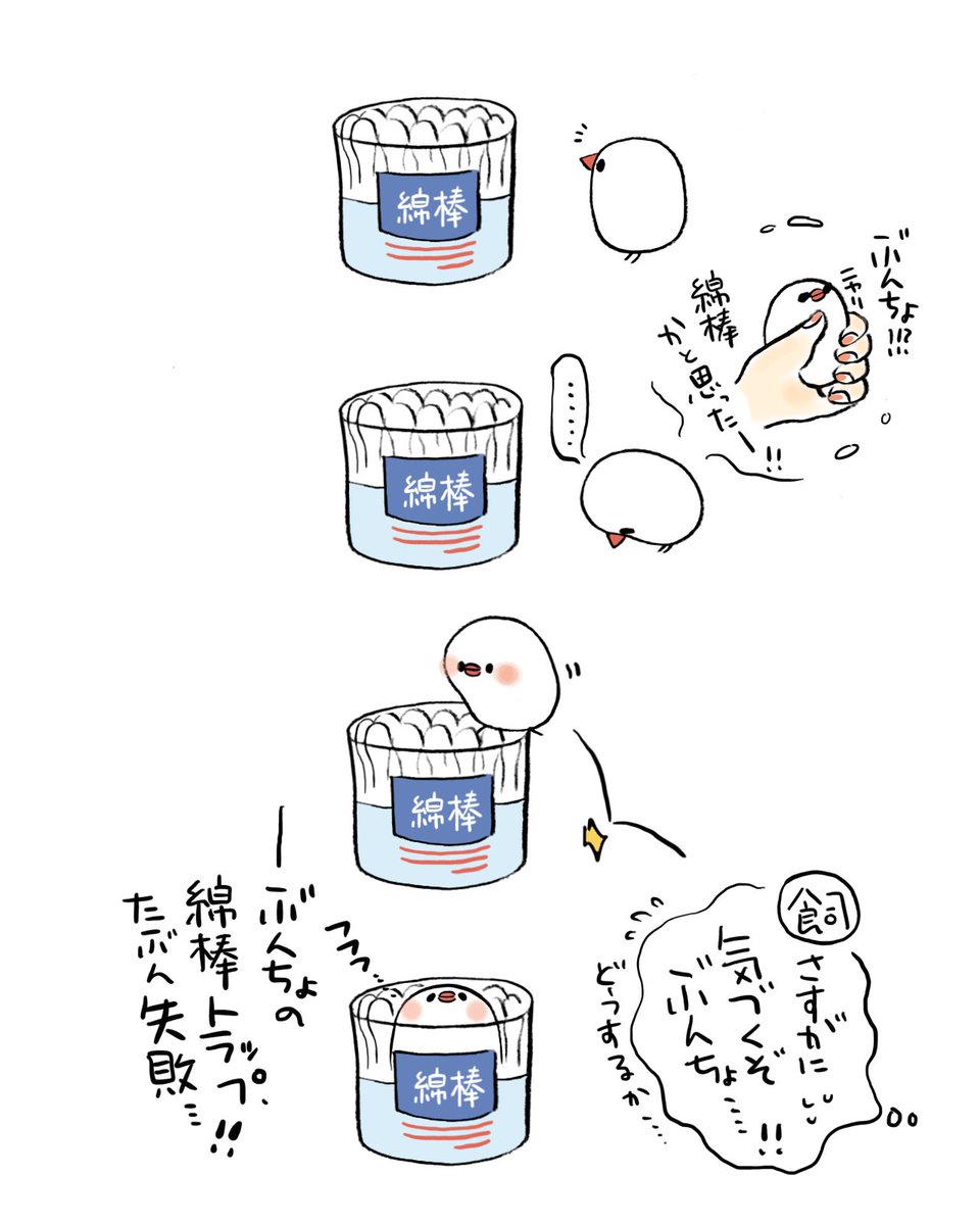 ぶんちょの綿棒トラップ 