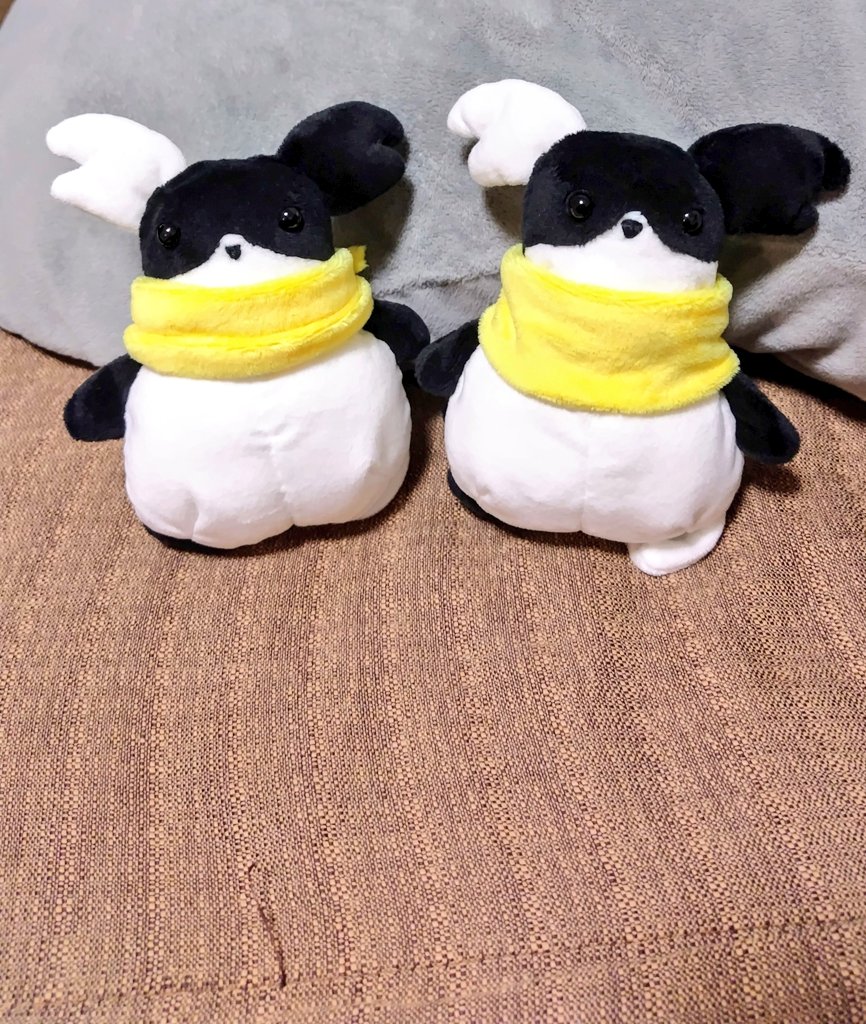 tkrk0o's tweet photo. つくるこユニバースではこんな子たちが生まれています！
お家探しもしておりますので、どうぞご覧ください✌️
https://t.co/2EUlkrJpZV
#ぬいぐるみ
#ぬいぐるみの時間 
#ぬい撮り https://t.co/8G7HAdE9lV