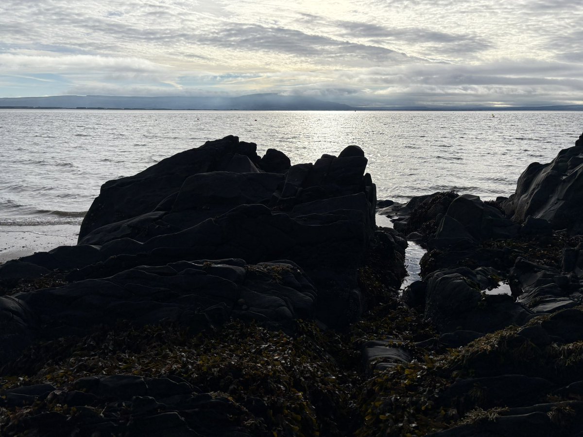 It’s like a summers day on #MovilleShoreWalk great weather for this time of year. 
Buddy 🐕 is enjoying it after getting his coat cut. <a href="/wildatlanticway/">Wild Atlantic Way</a> <a href="/bbcniweather/">BBC NI Weather</a> <a href="/deric_tv/">Deric</a> <a href="/MMaryMcKenna/">Mary McKenna</a>