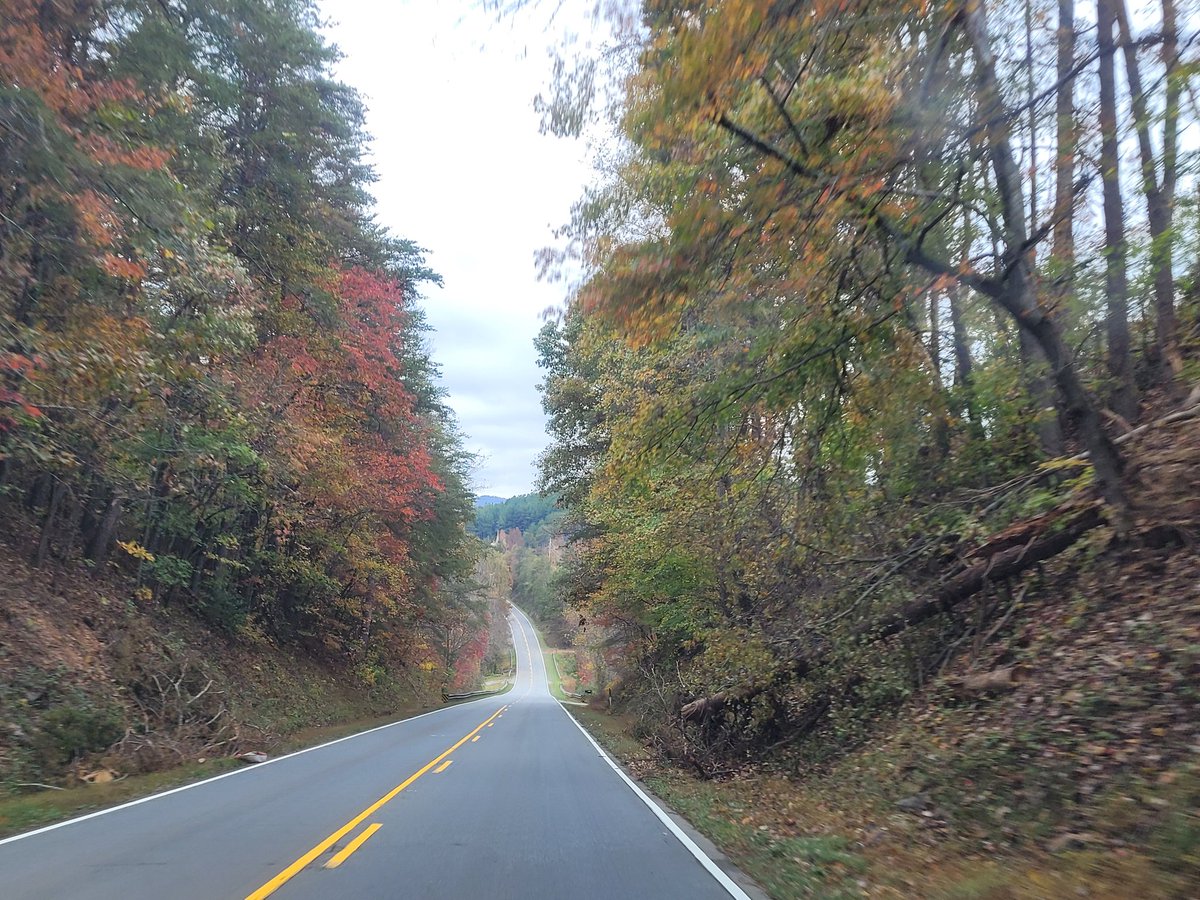 CarolinaChrisD's tweet photo. 1/4) Good morning, y'all! Early start and on our way to the job. These photos are the drive to the hiking spot last Sunday. Y'all have a great Tuesday. ☺️😎

#SouthCarolina #NorthCarolina #fallseason #autumn #nature #roadtrip #CherokeeCountySC #ClevelandCounty #RutherfordCounty https://t.co/jSOwTrPo2u