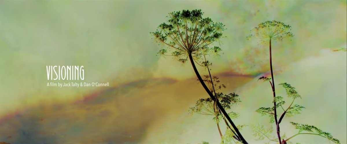 Delighted to have been able to make this short film with Dan O'Connell (<a href="/egomotion/">Daniel O'Connell</a>). Includes some new poetry by <a href="/jane_janeclarke/">Jane Clarke</a>. Commissioned by <a href="/BurrenbeoTrust/">Burrenbeo Trust</a> with support from <a href="/creativeirl/">Creative Ireland</a>. Premiered last Saturday at Burren Winterage 2024.   

See: jacktalty.com/visioning