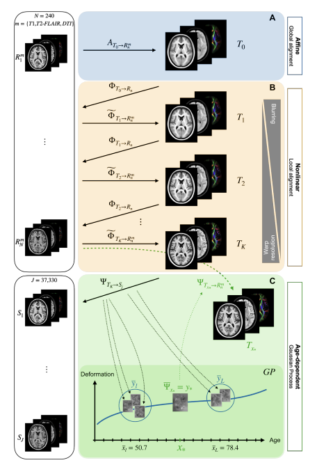 ParkvilleGeek's tweet photo. Internally-consistent and fully-unbiased multimodal MRI brain template construction from UK Biobank: Oxford-MM | Imaging Neuroscience | MIT Press https://t.co/oB3v1WeVQz https://t.co/NQqBIdscBJ