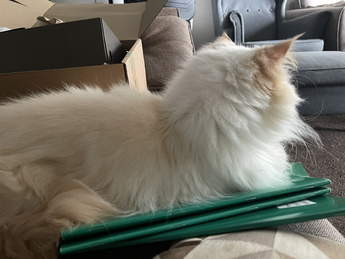 When you are trying to mark writing assessments…