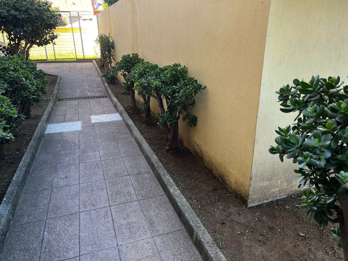 auroservicesrls's tweet photo. Offriamo servizi professionali di giardinaggio e potatura in tutta la provincia di Cagliari e nel Sud Sardegna. Contattaci per un preventivo gratuito!
https://t.co/6XBf9hTdHw
#giardinaggio #potatura #cagliari #sardinia #auroservicesrls #cagliari #sardegna #sudsardegna https://t.co/4jQ9zT4WPz