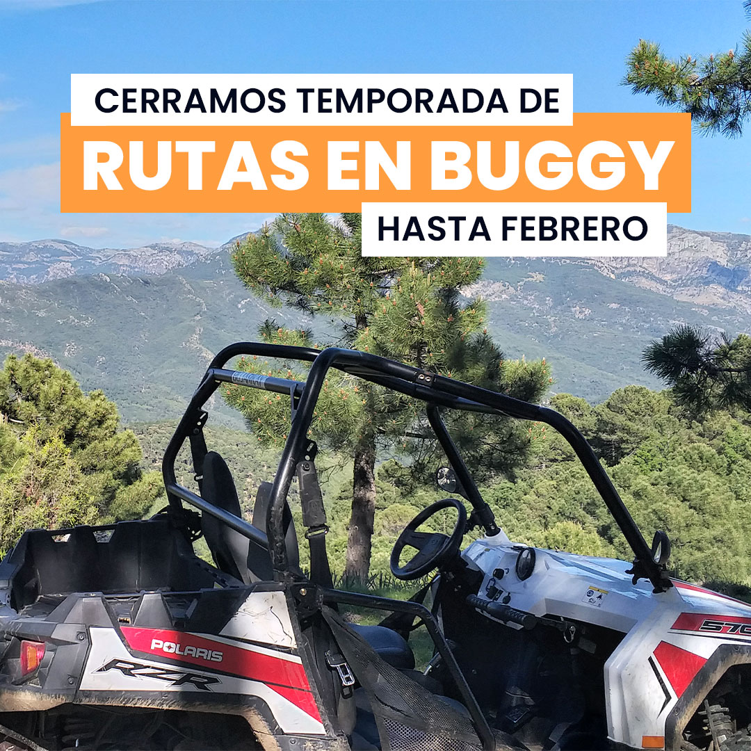 Cerramos temporada de buggies de forma anticipada debido a las continuas (y necesarias 🤞🏻) lluvias que están teniendo lugar en la zona 🌧

Nuestros buggies volverán a recorrer el Parque Natural de Cazorla, Segura y las Villas en febrero, tan pronto la climatología lo permita 🚗💨
