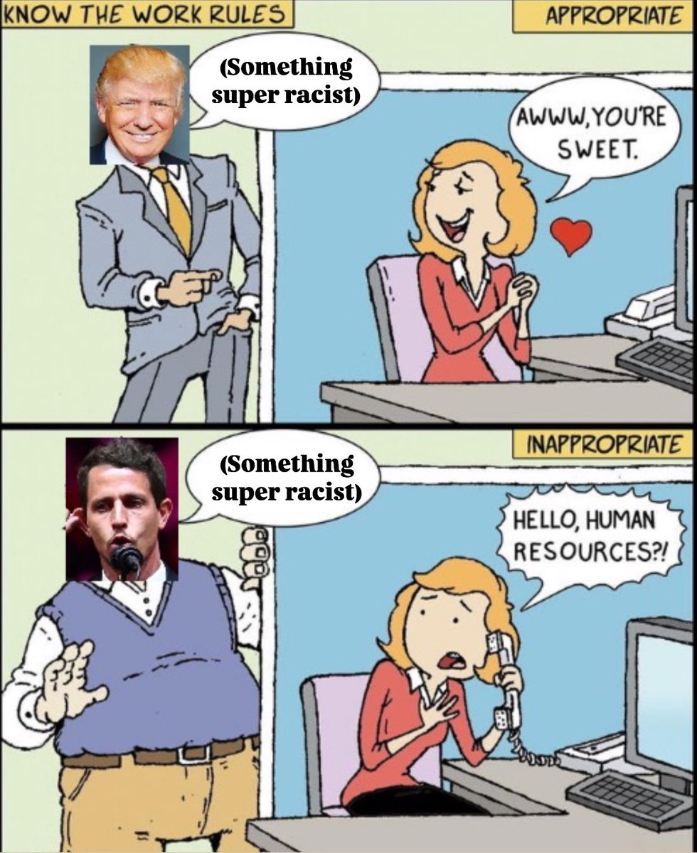 The median American voter, for some reason