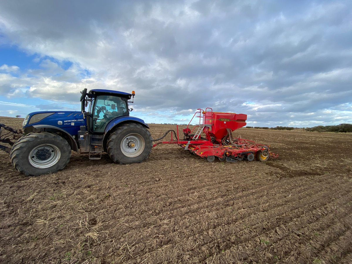 The #fieldlab trialling bean varieties in Scotland to identify the best suited to local conditions is underway🌱🫘

Farmers are seeking an alternative break crop to clubroot-affected oilseed rape, while reaping the benefits of legumes in rotation👇

innovativefarmers.org/field-labs/bea…