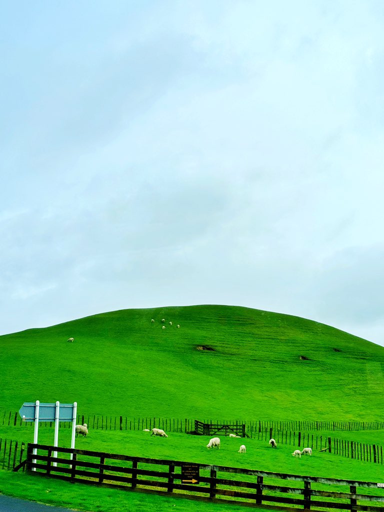 emmanuelmadness's tweet photo. Auckland, New Zealand 🍃 https://t.co/KrqBihhbso