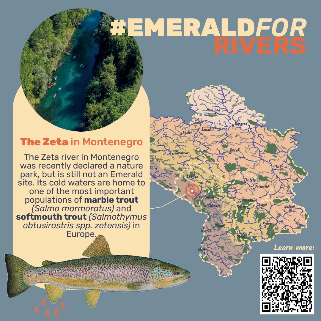 🌿 Montenegro’s Zeta river is still not an Emerald site, despite being a crucial habitat for European fish. Ahead of December’s Bern Convention meeting, we urge Montenegro to commit to the expansion of the Emerald Network. 🌍 #EmeraldForRivers