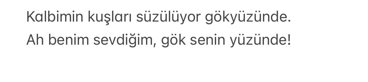 Ahmet Göktaş (@paradoks205) on Twitter photo 