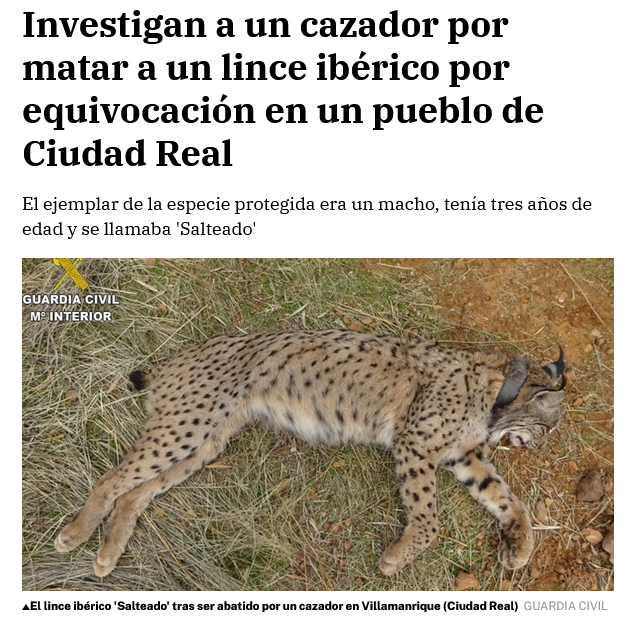 "por equivocación". Mis c******s.