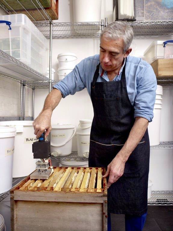 Apis bee consultancy tweet media