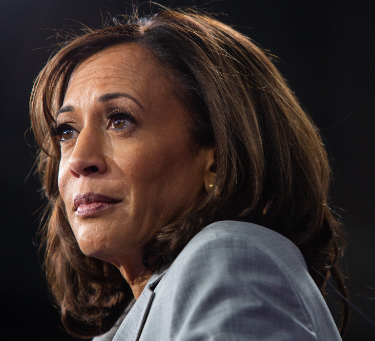 Conservative Brief tweet media