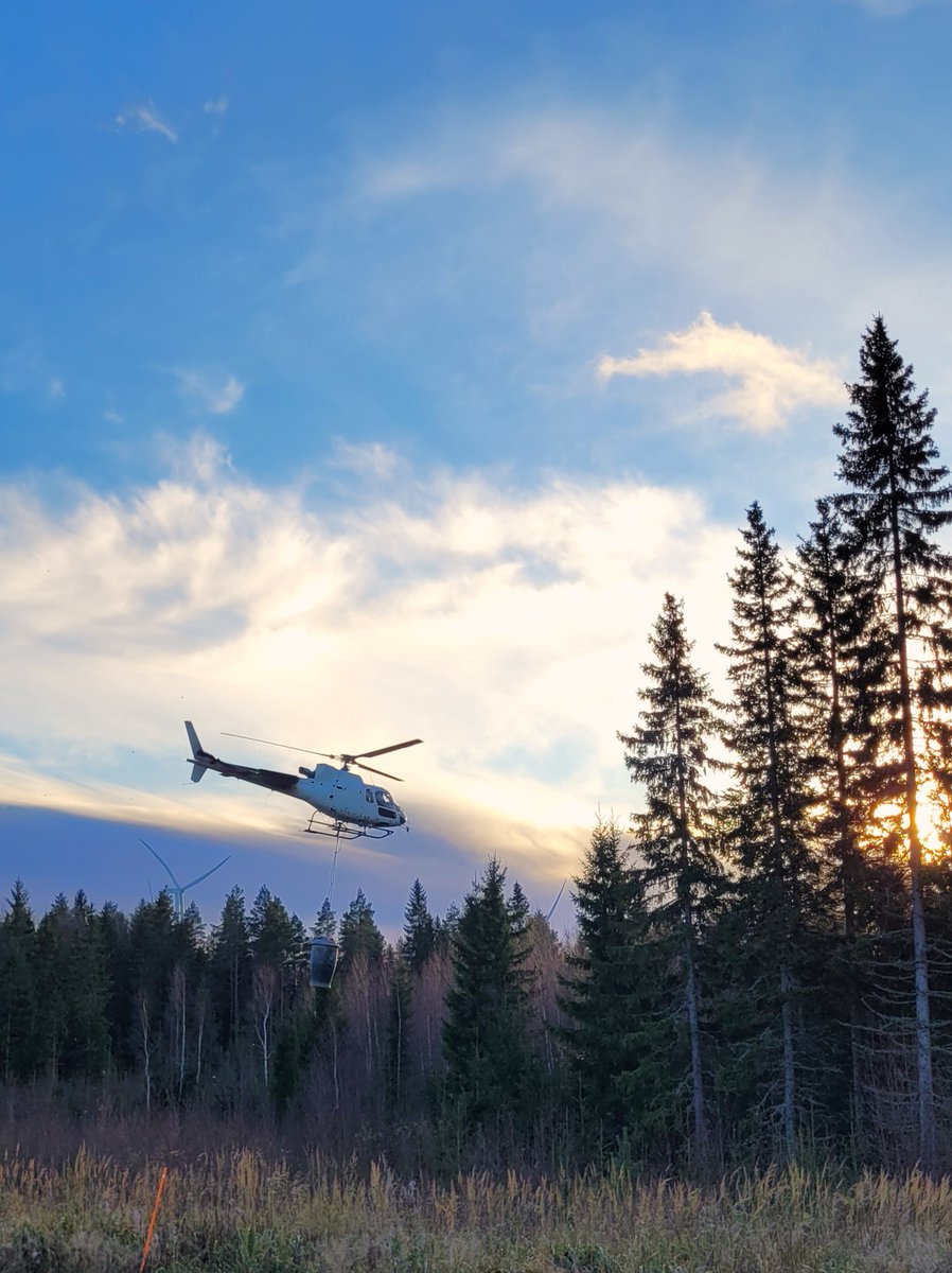 Askgödsling i Lappfjärd 28.10.2024

📸 Jami Pirttimäki