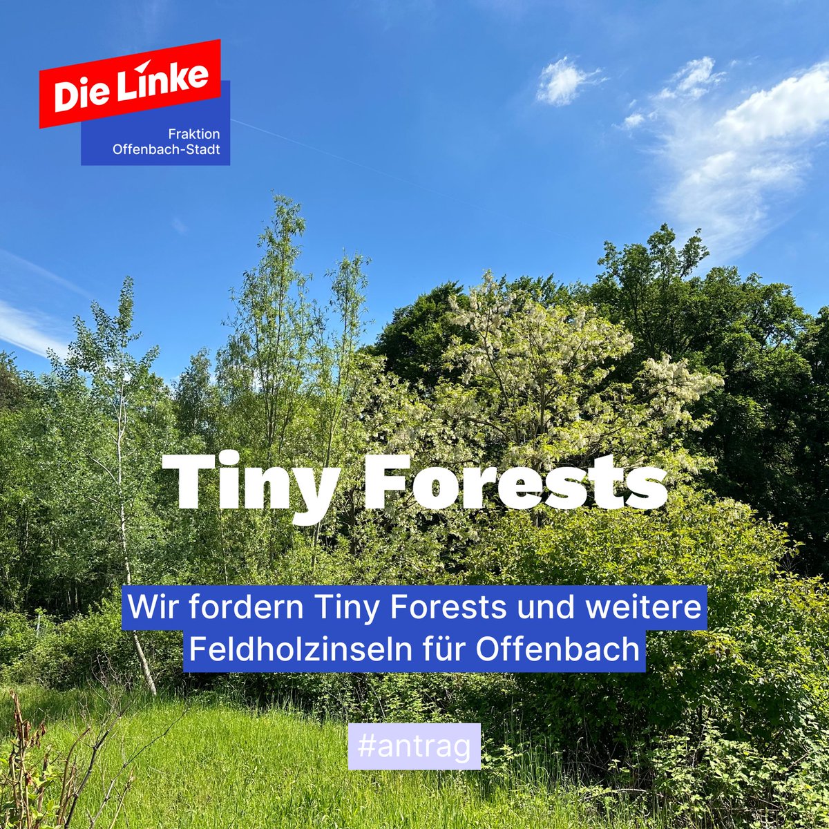 Antrag: Tiny Forests – Wildholzinseln für Offenbach 

Wir fordern Tiny Forests und Feldholzinseln in Offenbach für mehr Klimaschutz, Artenvielfalt und kühlende Grünflächen!

Zum Antrag: pio.offenbach.de/index.php?akti…