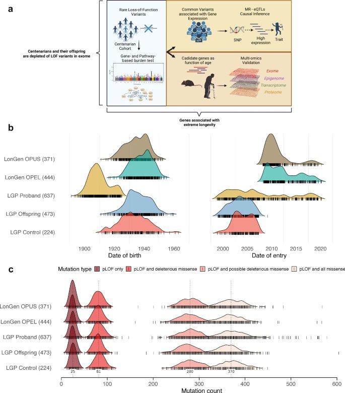Agingdoc⭐David Barzilai🔔MD PhD MS MBA DipABLM🩺 (@agingdoc1) on Twitter photo Depletion of loss-of-function germline mutations in centenarians reveals longevity genes
<a href="/KejunYing/">Kejun (Albert) Ying</a> <a href="/ZhengdongZhang/">Zhengdong Zhang</a> <a href="/MD_MilmanS/">Sofiya Milman 🎗️</a> <a href="/JPCastro_Aging/">José Pedro Castro, PhD</a> @AnastasiaShind <a href="/LudgerGoeminne/">Ludger</a> <a href="/mahdi_moqri/">Mahdi Moqri, PhD</a> <a href="/NirBarzilaiMD/">Nir Barzilai</a> <a href="/gladyshev_lab/">Gladyshev Lab</a> and coauthors.
🔗nature.com/articles/s4146…
<a href="/NatureComms/">Nature Communications</a> Depletion of loss-of-function germline mutations in centenarians reveals longevity genes
<a href="/KejunYing/">Kejun (Albert) Ying</a> <a href="/ZhengdongZhang/">Zhengdong Zhang</a> <a href="/MD_MilmanS/">Sofiya Milman 🎗️</a> <a href="/JPCastro_Aging/">José Pedro Castro, PhD</a> @AnastasiaShind <a href="/LudgerGoeminne/">Ludger</a> <a href="/mahdi_moqri/">Mahdi Moqri, PhD</a> <a href="/NirBarzilaiMD/">Nir Barzilai</a> <a href="/gladyshev_lab/">Gladyshev Lab</a> and coauthors.
🔗nature.com/articles/s4146…
<a href="/NatureComms/">Nature Communications</a>
