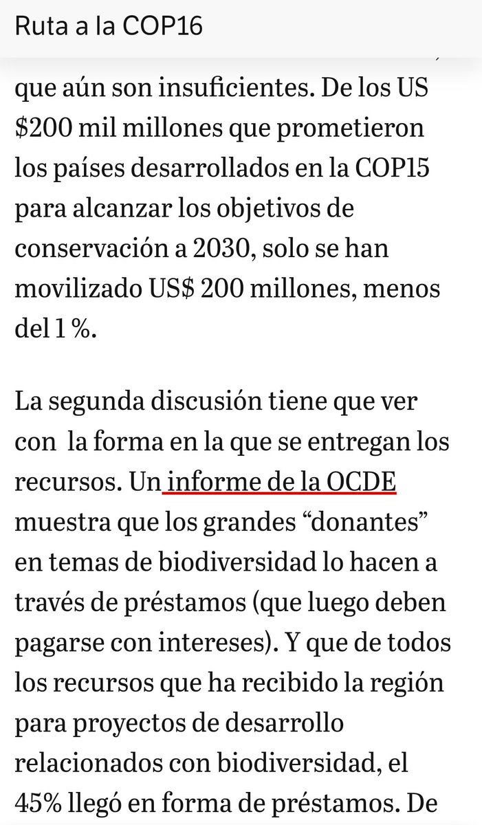 ana prieto tweet media