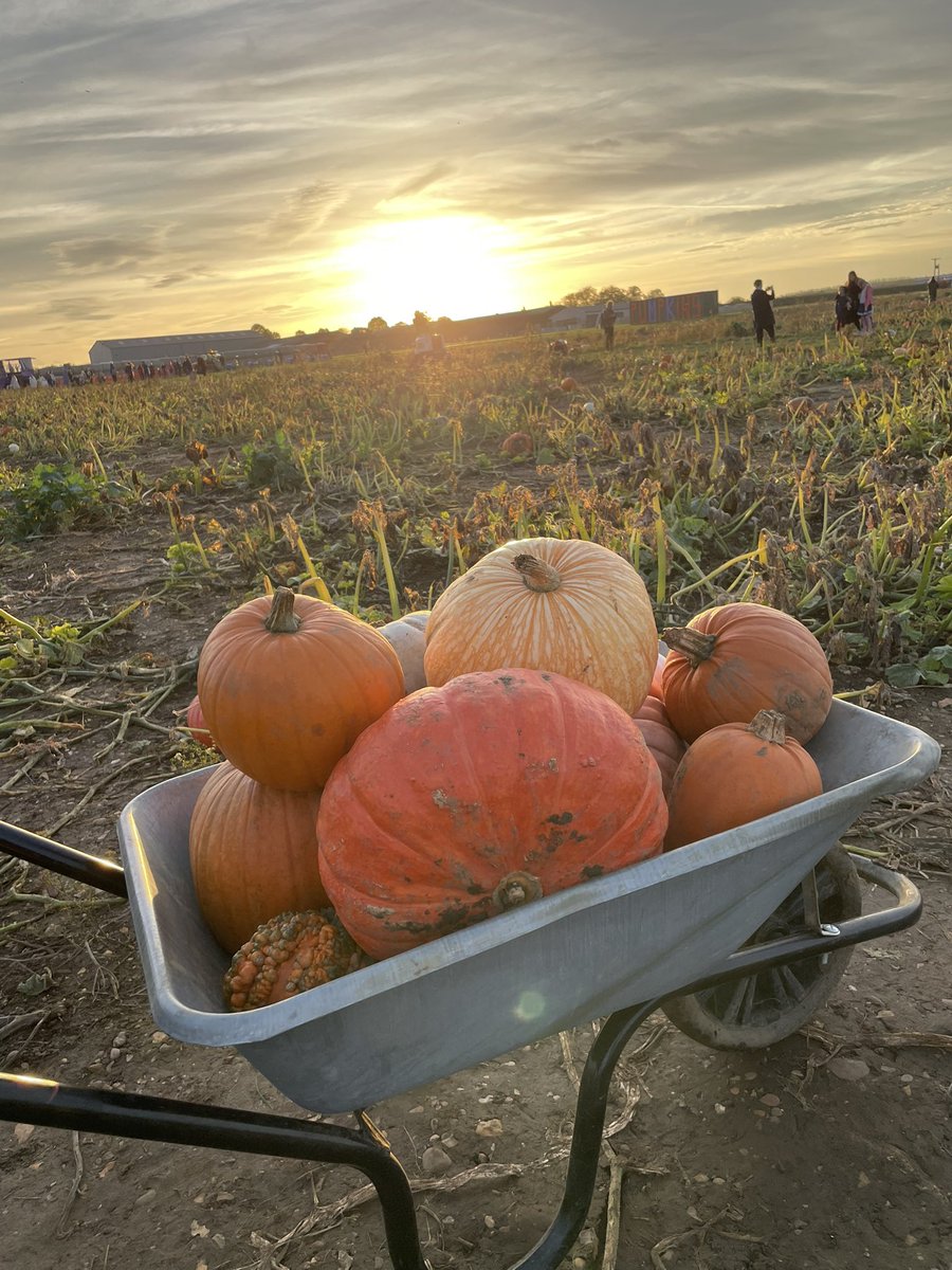 James Monaghan π+πββοΈ+πΈ (@james_monaghan) on Twitter photo I have considerable FOMO over the amazing conversations that will happen this week at <a href="/idworkshop/">Internet ID Workshop</a> #IIW, but Halloween is sacred in our family, so Iβm going to be following along remotely instead! πππ±π I have considerable FOMO over the amazing conversations that will happen this week at <a href="/idworkshop/">Internet ID Workshop</a> #IIW, but Halloween is sacred in our family, so Iβm going to be following along remotely instead! πππ±π