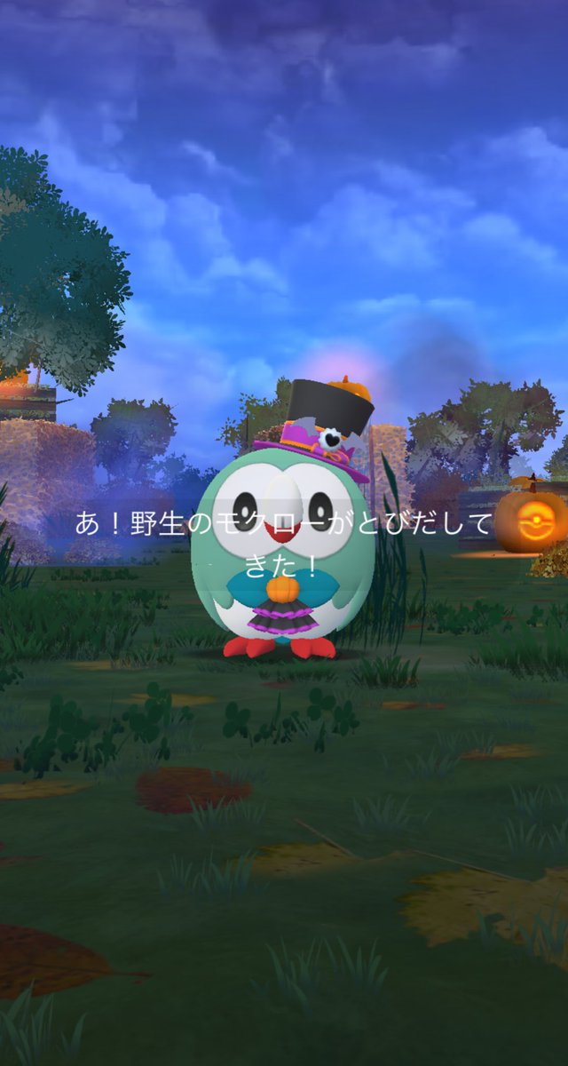 vzm_1's tweet photo. 雨の中探し回ってモクローお迎え .ᐟ 🫶🏻 https://t.co/uWCQkCI83b
