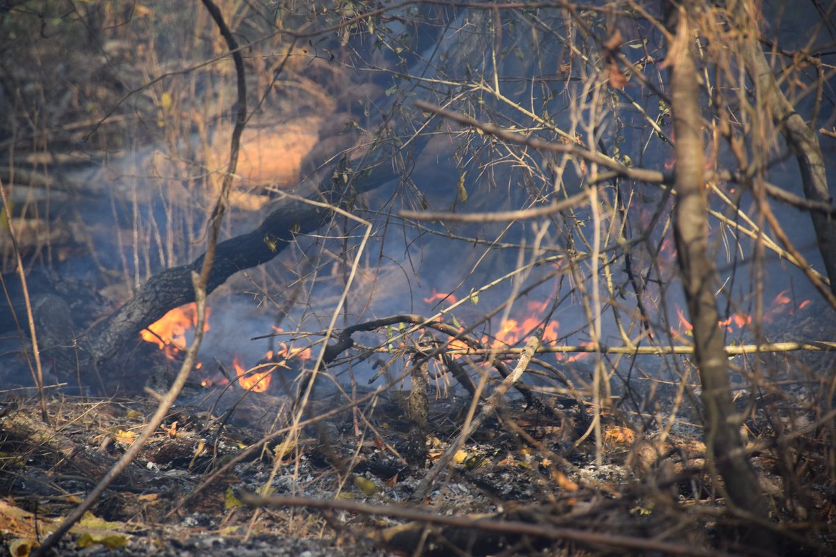 ValleyBuff's tweet image. Some more photos from the Middleton fire